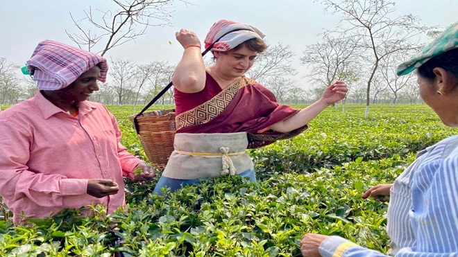 प्रियंका गांधी