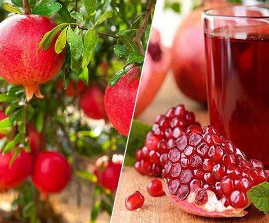 अनार के फायदे