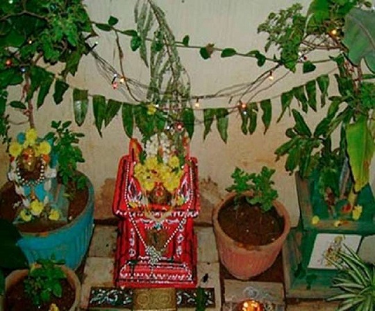 तुलसी विवाह