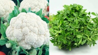 फूलगोभी, मेथी