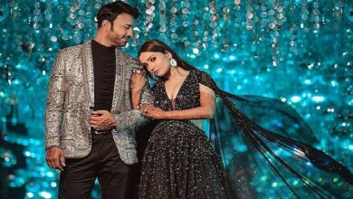 कैटरीना कैफ विक्की कौशल