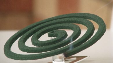 मॉस्किटो कॉइल जलाक