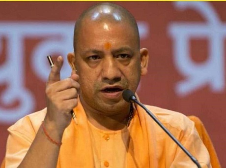 yogi-cm