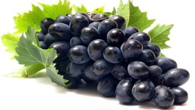 काले अंगूर