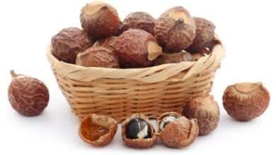 Sapindus,Mukorossi,Or,Indian,Soapberry,Use,In,Many,Pharmacological,And