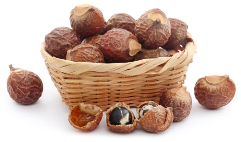 Sapindus,Mukorossi,Or,Indian,Soapberry,Use,In,Many,Pharmacological,And