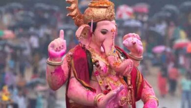 गणपति विसर्जन